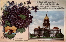 Illinois state flower and state capitol Springfield, IL State Flowers & Seals Postcard Postcard