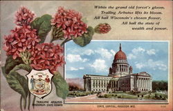 Wisconsin State Capitol and State Flower State Flowers & Seals Postcard Postcard