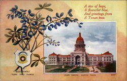 Texas State Flower and Capitol Postcard