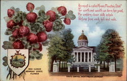 Vermont State Flower and State Capitol Montpelier, VT State Flowers & Seals Postcard Postcard