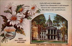 New Hampshire State Flower and Capitol Postcard