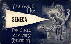 You Would Like Seneca Kansas Postcard Postcard