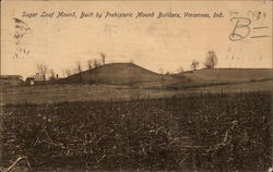 Sugar Loaf Mound Vincennes, IN Postcard Postcard