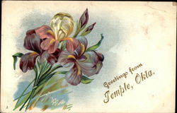 Greetings from Temple, Okla Postcard