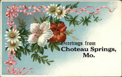 Greetings from Choteau Springs, Mo Chouteau Springs, MO Postcard Postcard