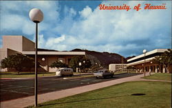 University of Hawaii Postcard