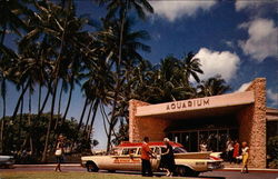 Front Entrance Waikiki Aquarium Postcard