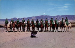 Madison County Sidesaddle Club Virginia City, MT Postcard Postcard