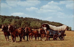 Greetings from the "Pennsylvania Dutch Country" Postcard