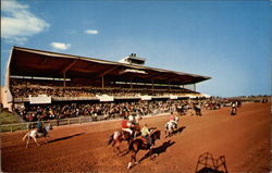 Finger Lakes Race Track Canandaigua, NY Postcard Postcard