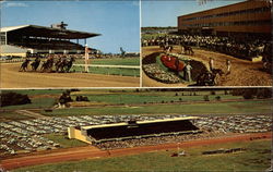 Finger Lakes Race Track - Rt. 96 at Thruway, Exit 44 Canandaigua, NY Postcard Postcard