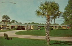 Welcome to Gator Court Gainesville, FL Postcard Postcard