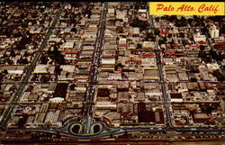 Downtown, Palo Alto, Calif Postcard