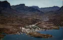 Black Meadow Landing on Lake Havasu Postcard