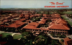 The Quadrangle, Stanford University Postcard