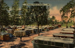 A Trailer Camp in Florida Postcard Postcard