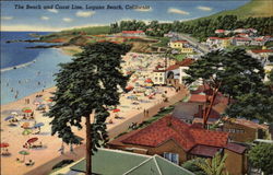 The Beach and Coast Line Postcard