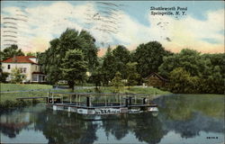 Shuttleworth Pond Springville, NY Postcard Postcard