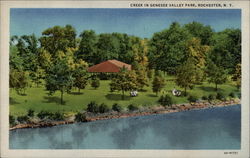 Creek in Genesee Valley Park Postcard