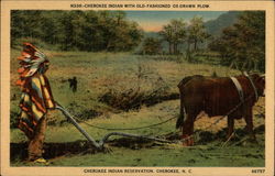 Cherokee Indian with Old-fashioned Ox-Drawn Plow, Cherokee Indian Reservation North Carolina Native Americana Postcard Postcard