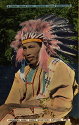 A Young Indian Chief, Cherokee Indian Reservation Postcard