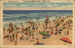 Waldameer Park Erie, PA Postcard Postcard