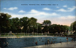 Municipal Swimming Pool Postcard