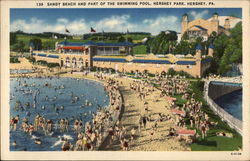 Sandy Beach and part of the swimming pool, Hershey Park Pennsylvania Postcard Postcard