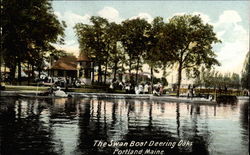 The Swan Boat Deering Oaks Postcard