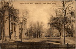 The Campus, Yale University New Haven, CT Postcard Postcard