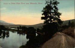 Scene on Bitter Root River Postcard