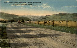 Grain Field and Snow Capped Mountain Postcard