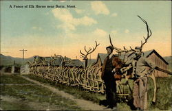 A Fence of Elk Horns Postcard