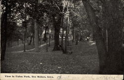 View in Union Park Des Moines, IA Postcard Postcard