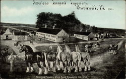 Trumans' Pioneer Stud Farm Postcard