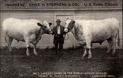 Handed by Chas H. Stephens & Co Chicago, IL Postcard Postcard