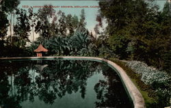 1513 Reservoir, Smiley Heights Redlands, CA Postcard Postcard