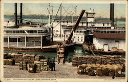 Unloading Cotton at Levee Postcard