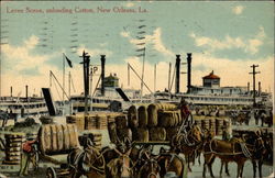 Levee Scene, Unloading Cotton Postcard