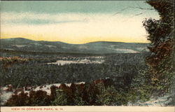 View in Corbin's Park Scenic, NH Postcard Postcard