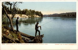 Trout Fishing on the Yellowstone Postcard