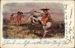 Such Is Life in the Wild & Wooly West Postcard