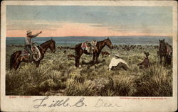 Day Herds Postcard