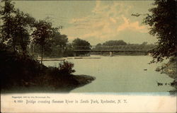 Bridge crossing Genesee River in South Park Rochester, NY Postcard Postcard