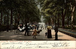 The Mall - Central Park New York, NY Postcard Postcard