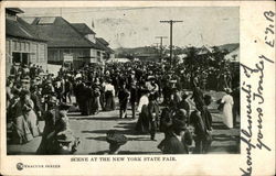 Scene at the New York State Fair Postcard