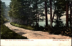 Pine Grove Drive along Canadaraga Lake Richfield Springs, NY Postcard Postcard