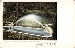 Fountain in Mr. Canfield's Park Saratoga Springs, NY Postcard Postcard