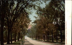 Looking Down James Street Hill Postcard