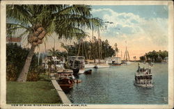 View of Miami RIver from Budge Dock Florida Postcard Postcard